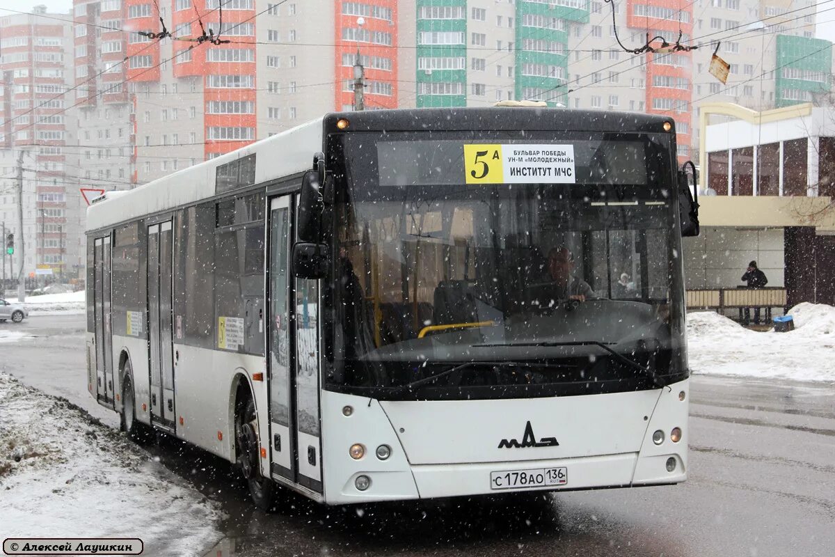 Автобус ру воронеж. МАЗ 203. 5а маршрут Воронеж МАЗ 206. МАЗ 203 Воронеж. МАЗ 203 2012.