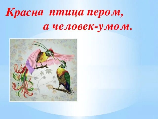 Красна птица пером а человек. Птица с красными перьями. Красна птица пером а человек знаниями. Красна птица пером а человек умом иллюстрация.