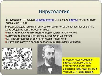 Вопрос биологу