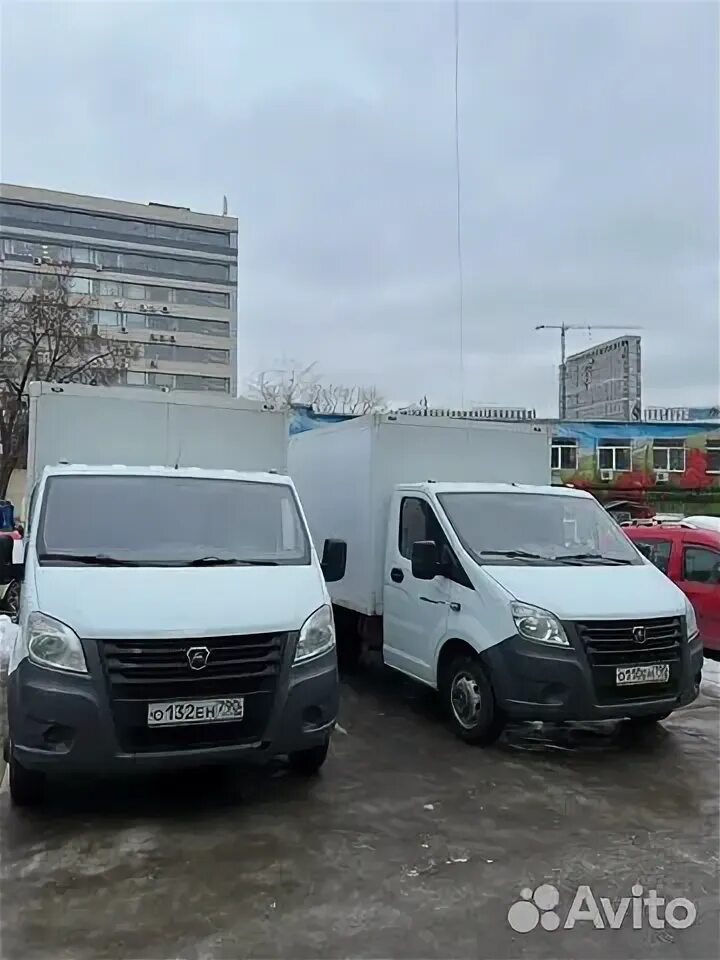Аренда некст в москве. Прокат автофургонов. Аренда газель некст. Газ a21r22 промтоварный фургон. Газ next 2.