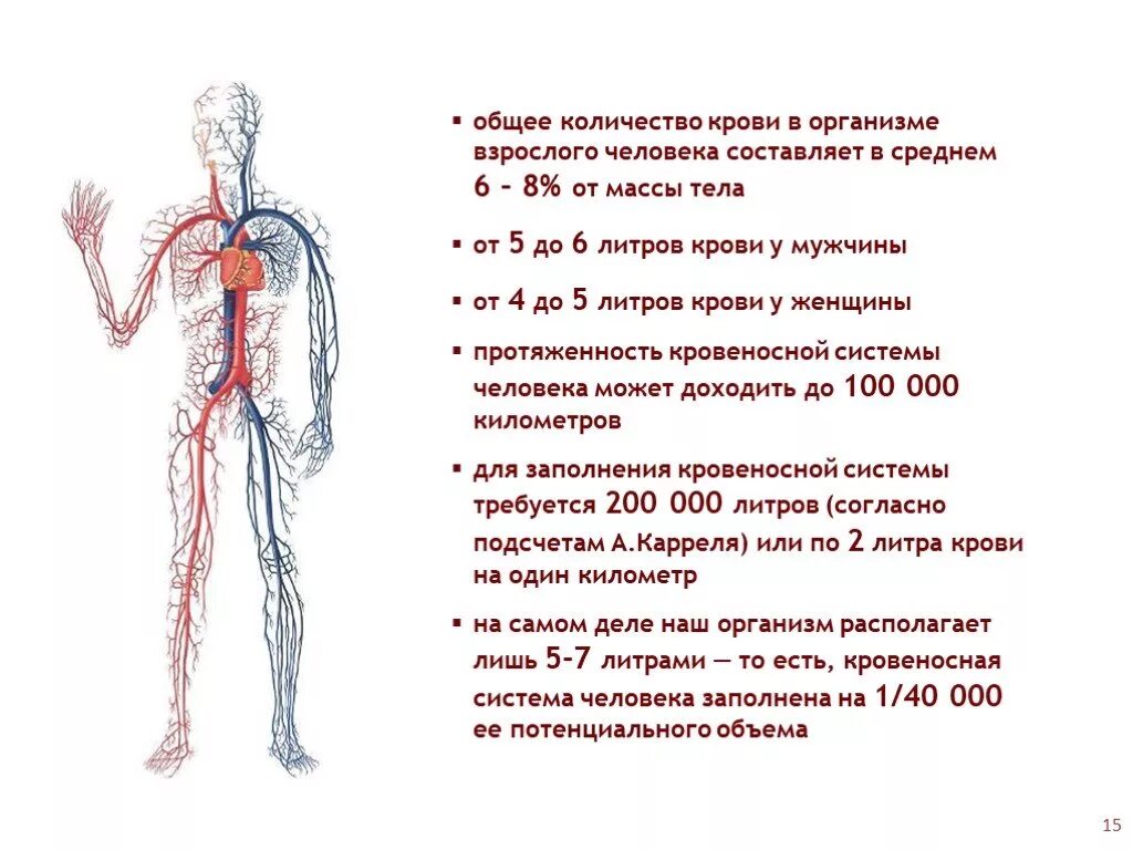 Изменения массы крови