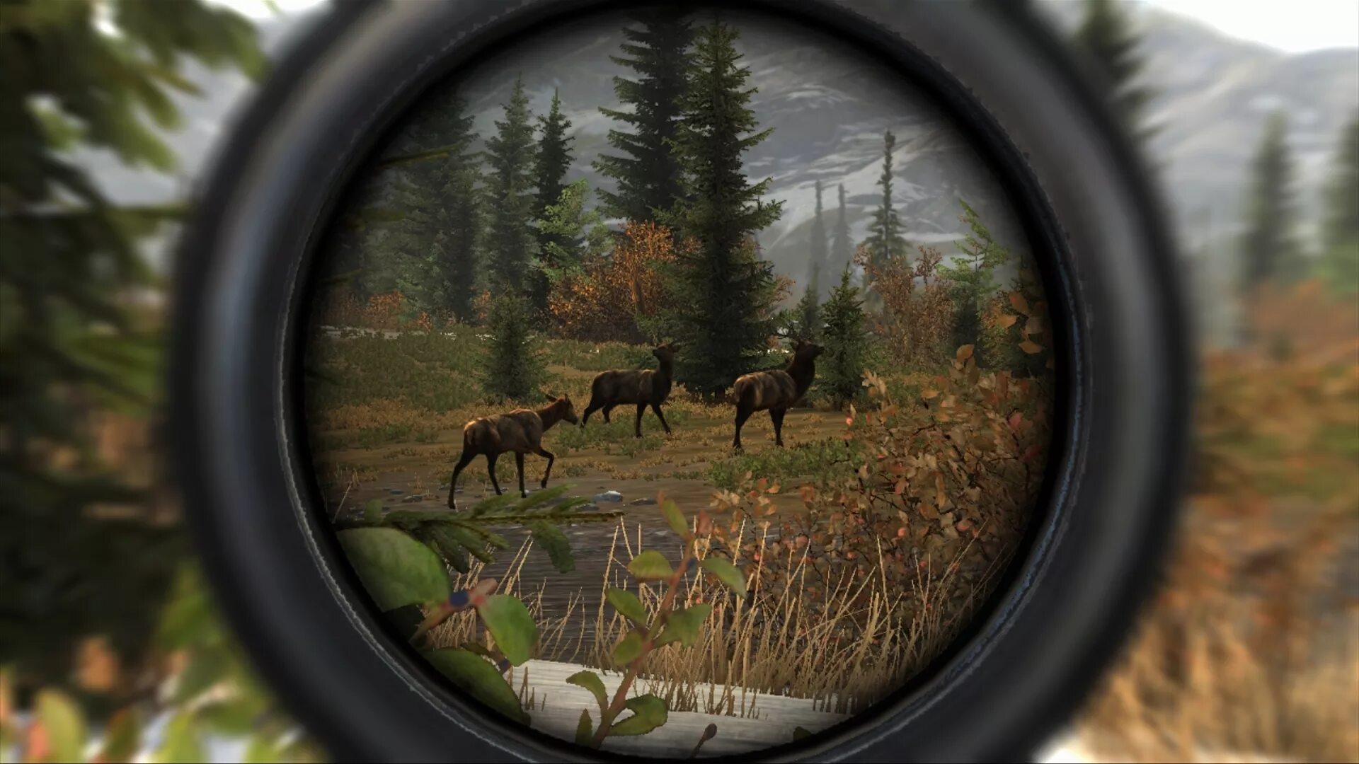 Cabelas pro hunts. Охота cabela&#039;s big game hunter. cabela&#039;s big hunter ps3. игра cabela&#039;s big game hunter pro hunts 2014. игра sniper deer hunting 2014.