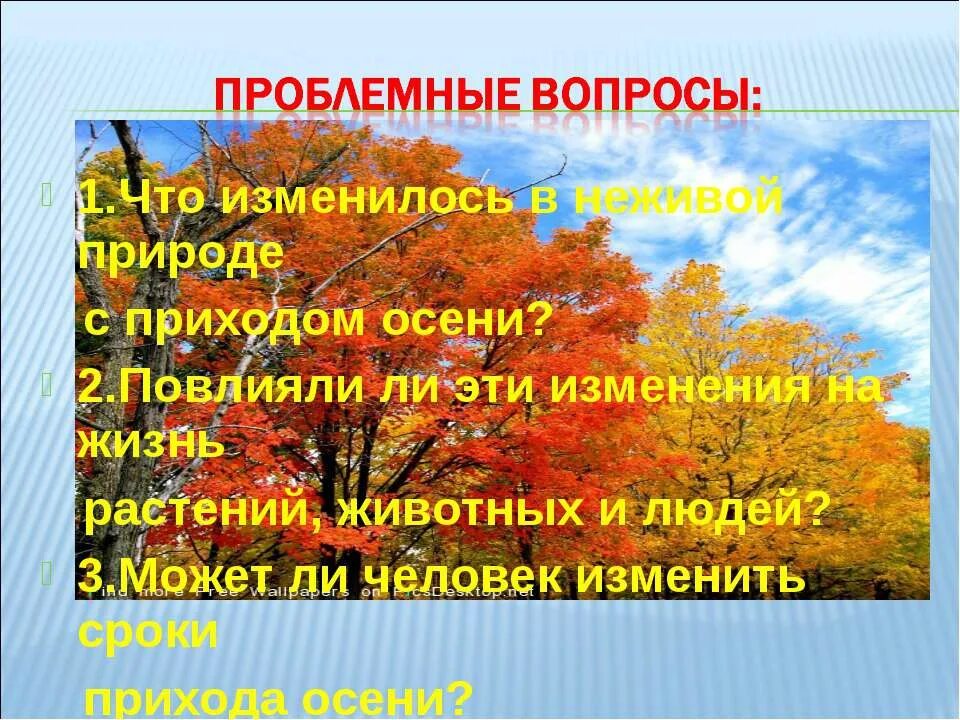 Изменения в природе с приходом осени. Изменения в природе осенью. Сезонные изменения в живой природе осенью. Изменения растений осенью. Изменения в неживой природе время года осень