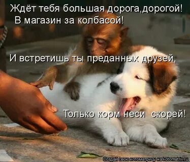 Хороших и верных тебе друзей