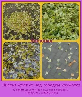 Текст песен желтая листва