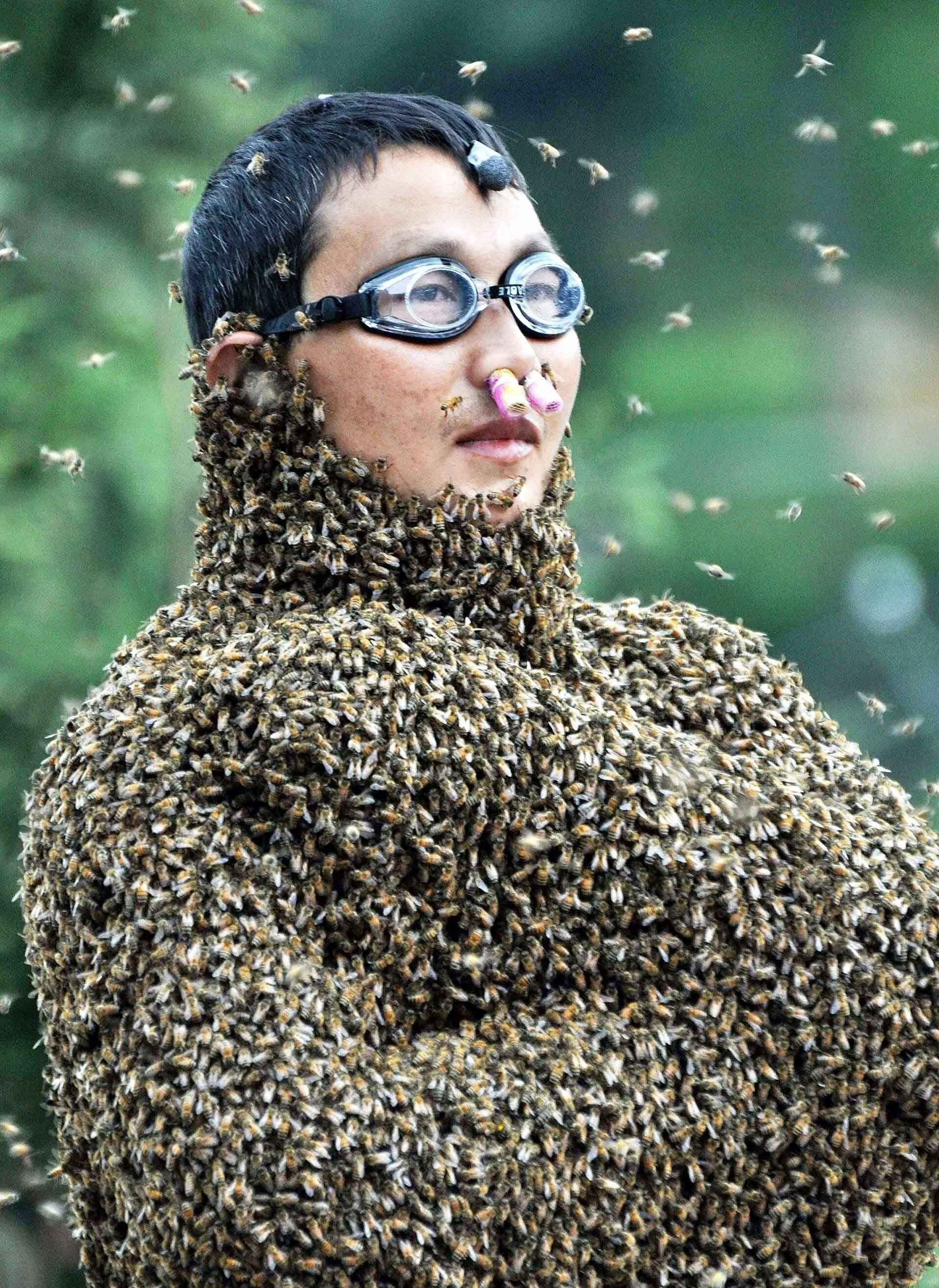 Необычные странных людей. Пчелиный конкурс. Пчелы облепили. Большая пчела. Человек пчела.
