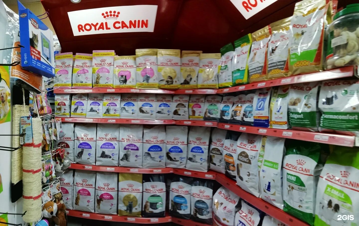 вывеска для магазина зоотоваров. магазин кот и пес калуга. астраханская 1/25 тамбов. магазин пес и кот сургут. зоомагазин анапа кот и пес.