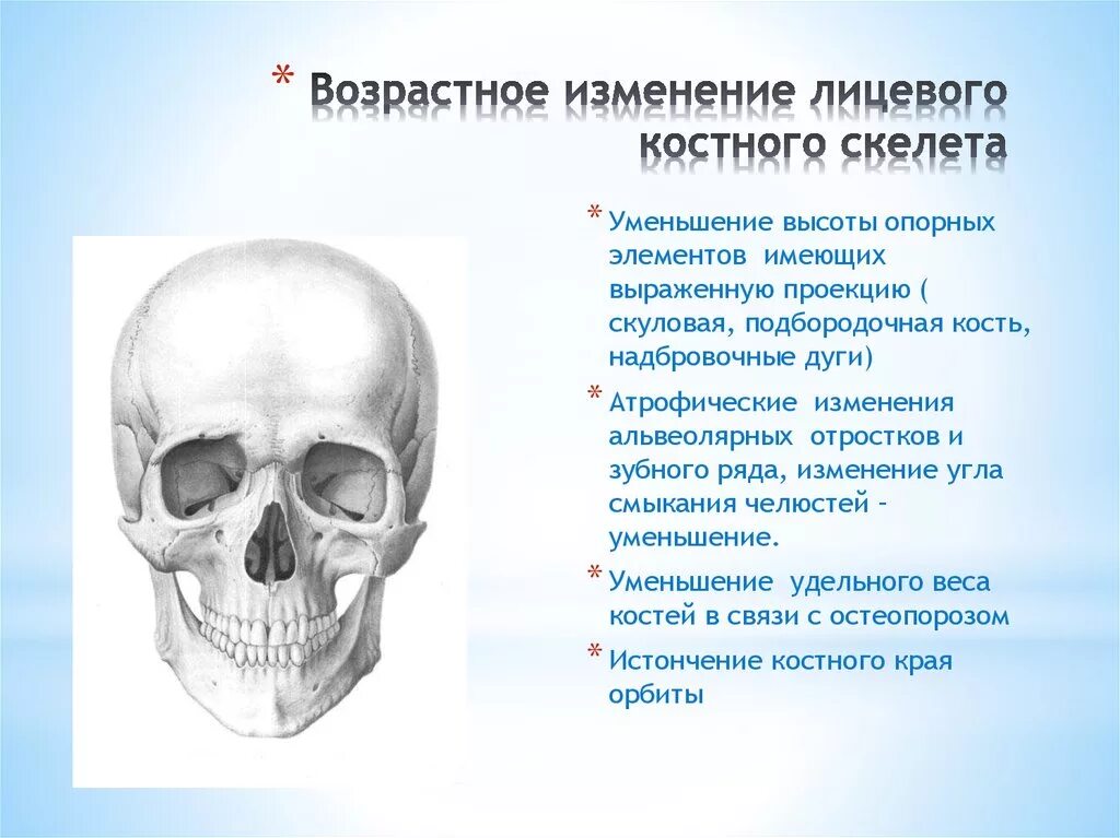 Признаком возрастных изменений костей является. Возрастные изменения костей лицевого скелета. Резорбция костной ткани черепа. Возрастные изменения костей черепа. Изменение костей черепа с возрастом.