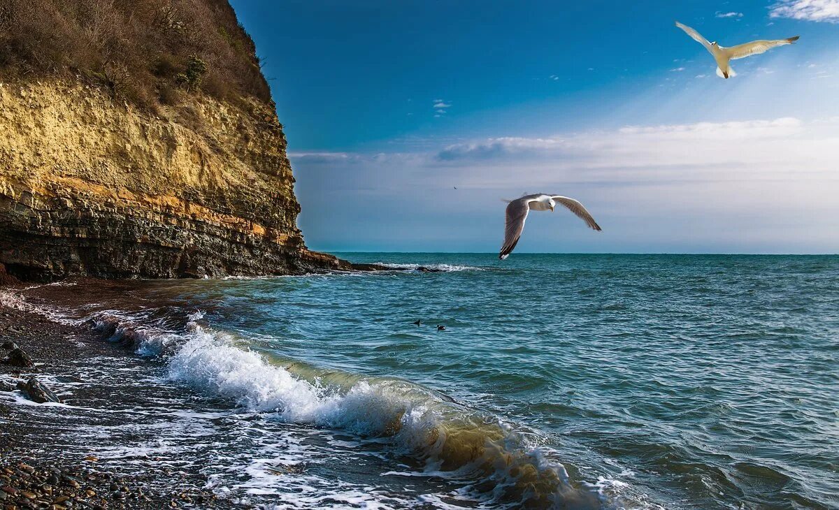 Время на черном море