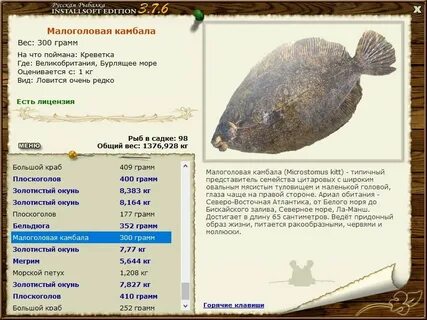 Вес морской