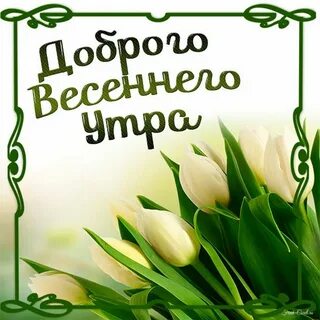 Весеннее доброе утро картинки с надписью