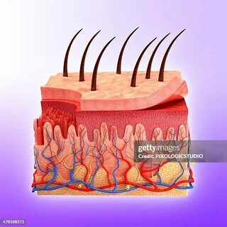 Ақ трусикидегі ескі әжелер порно фотоларды мастурбациялайды