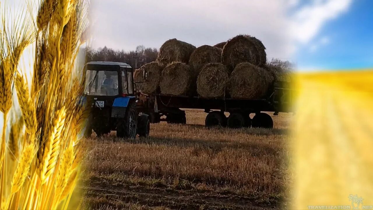 День сельского хозяйства в беларуси. Сельское хозяйство и перерабатывающая промышленность. С днем сельского хозяйства. Работники сельского хозяйства. Сельхозработника и перерабатывающей промышленности..