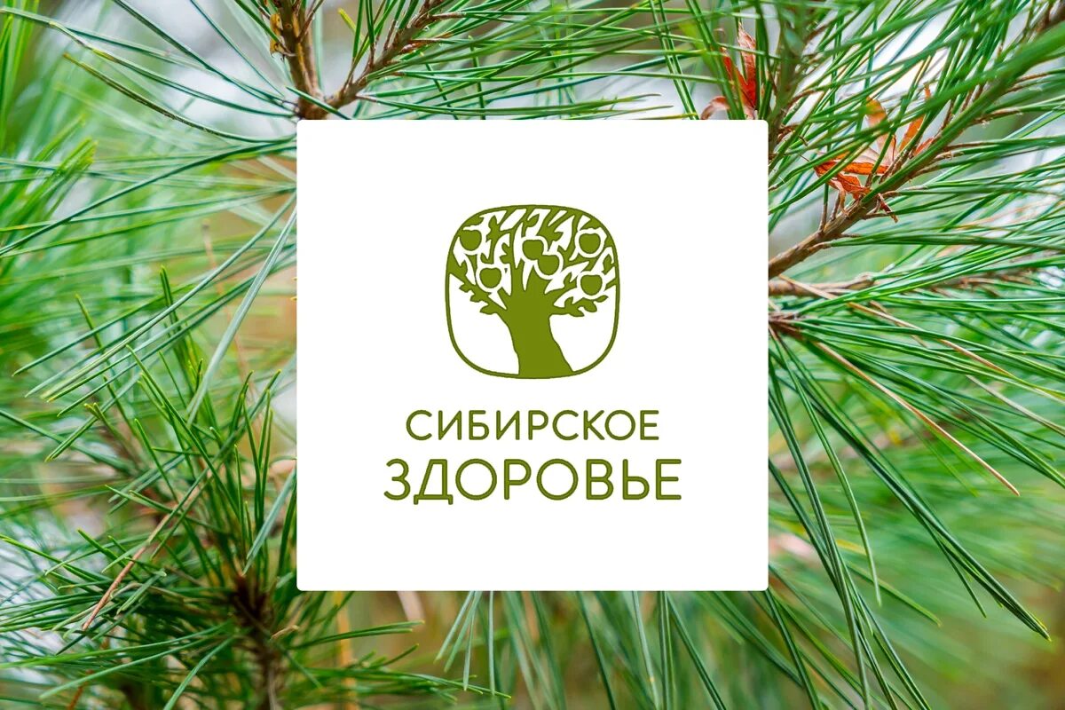 Символ сибирского здоровья. Сибирское здоровье. Сибирское здоровье. Сибирское здоровье siderian wellness1996. Буклет сибирское здоровье.