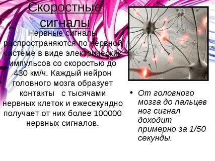 Нервные сигналы