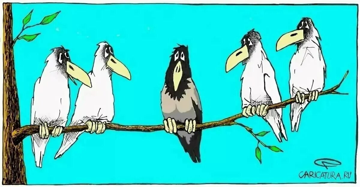 Птица объявится белая ворона. Карикатура вороны. Белая ворона карикатура. Карикатуры про птиц. Ворон карикатура.