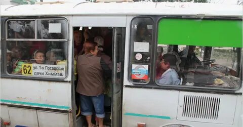 Автобусы на дачи 2024