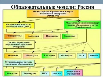Разнообразие образовательных систем