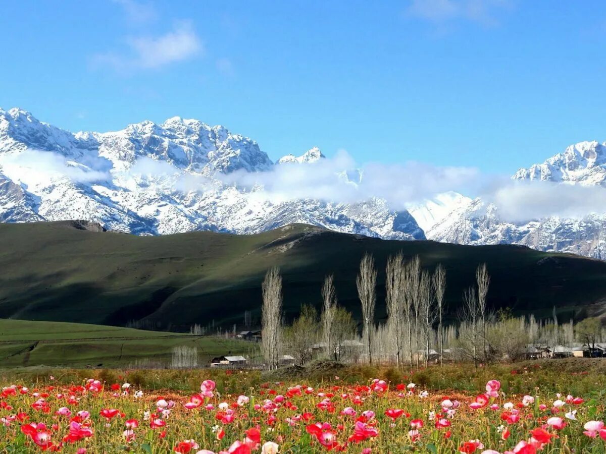 Горы кыргызстана нарын. Киргизия горы долина арашан. Киргизия климат. Горы суусамыр. Киргизия климат.