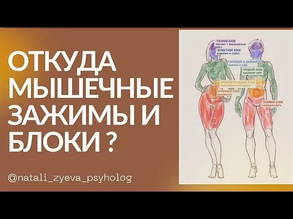 Мышечные зажимы и блоки как снять Пин на доске Все обо Всем