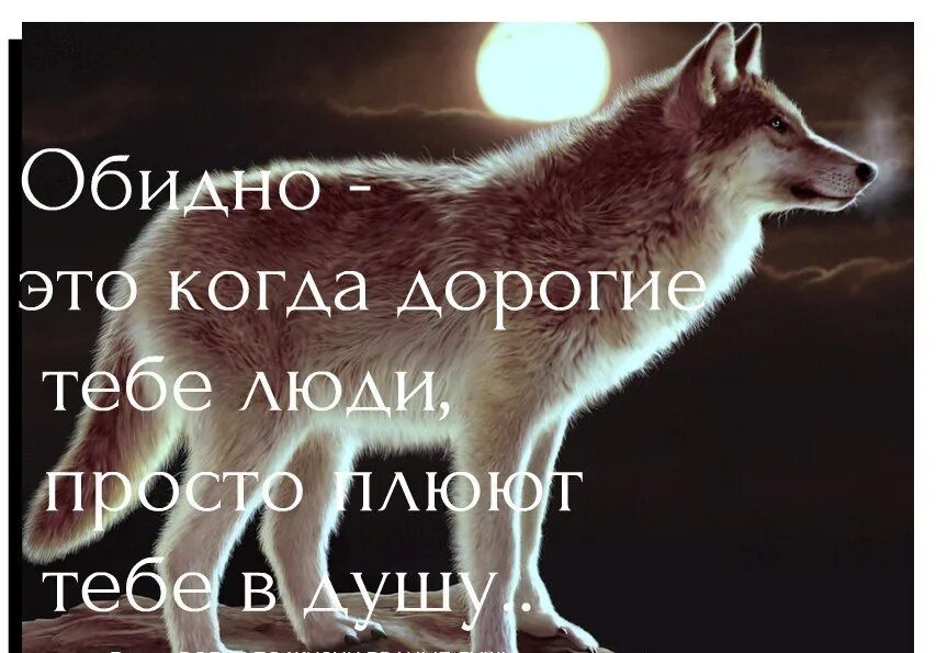 Мне жаль бывшего мужа. Мне обидно. Обидно картинки. Просто обидно. Картинки когда обидно.