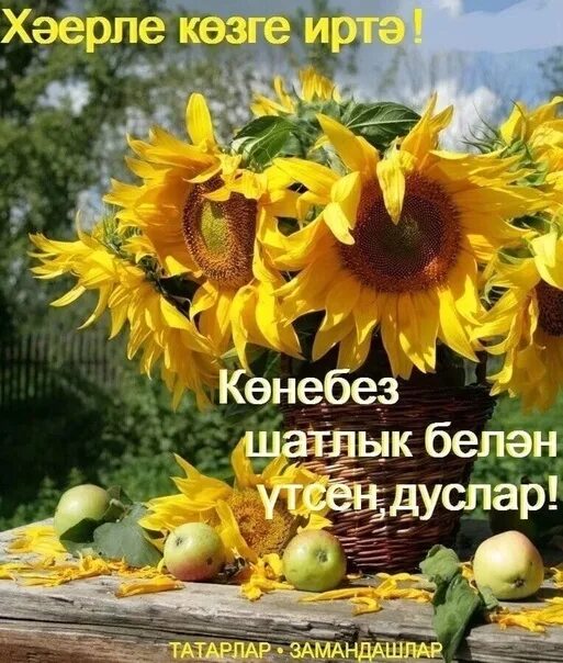 Доброе утро по татарский фото осень ♥ ♥ ♥ ПОЗИТИВ-позитивчик для ДРУЗЕЙ ღღღ Картинки, Открытки, Доброе утро