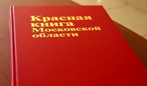 Красно ведение