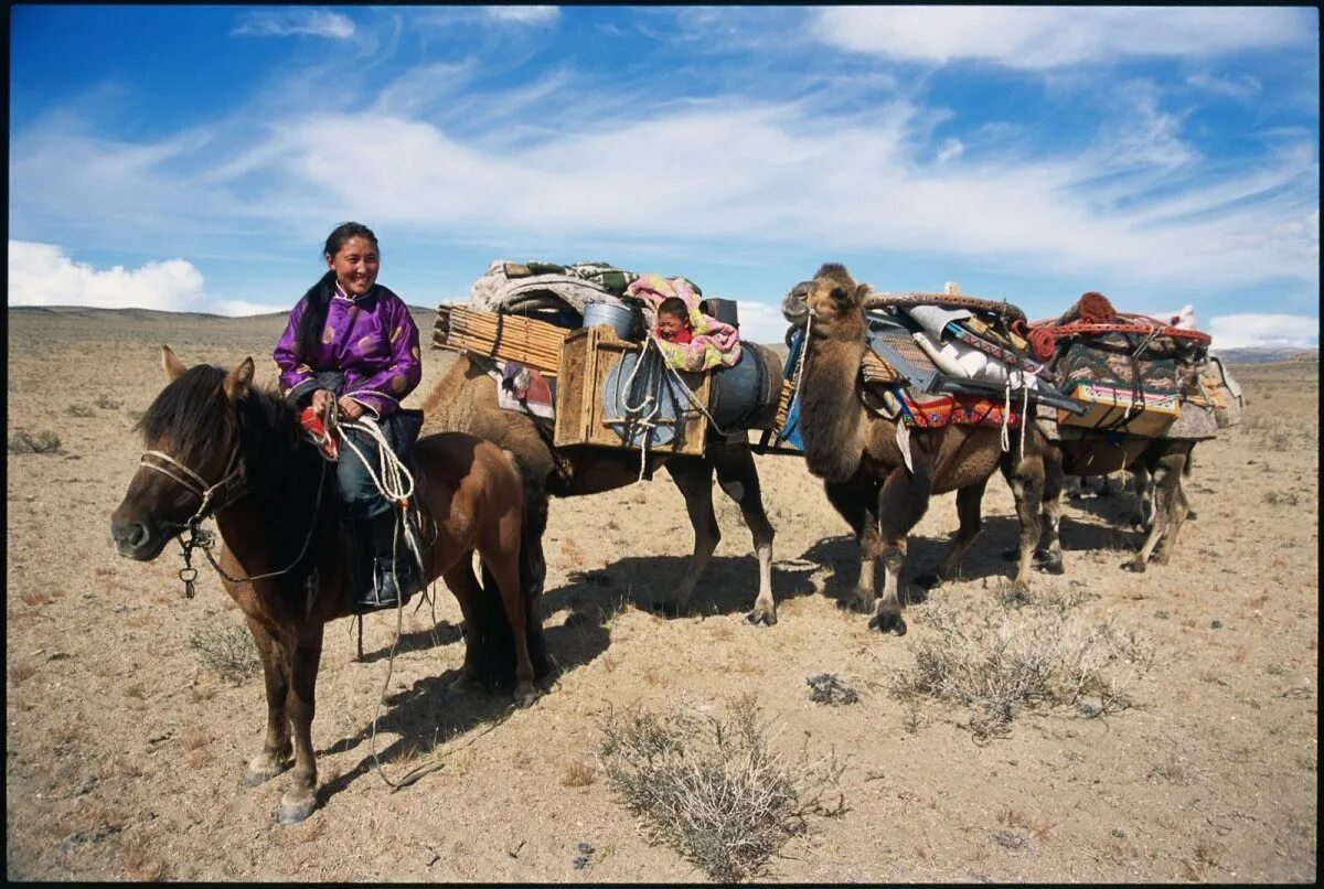 Кочевники монголии. Качуют или кочуют. Перелетные оседлые и кочующие птицы 1 класс. Качуют или кочуют. Кочевой цыганский табор.