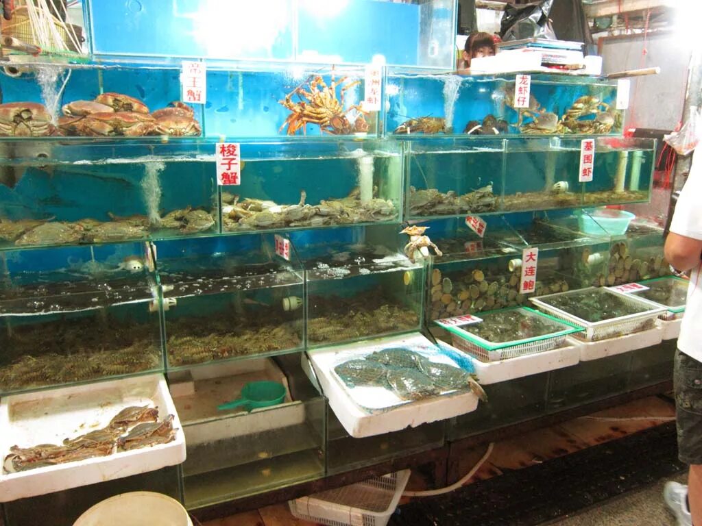 живая рыба рынок. где продают живые. зоомагазин аквариум. рыбный магазин «живая рыба» в ссср. краб в аквариуме.