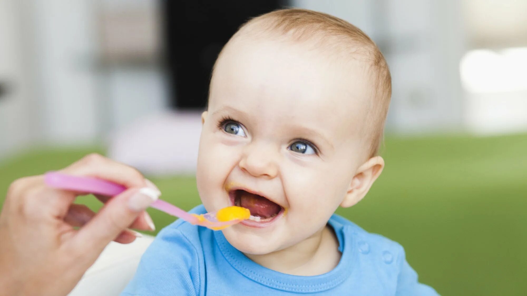 Baby eat. Easy weaning. Пищевая аллергия у ребенка 2 года фото.