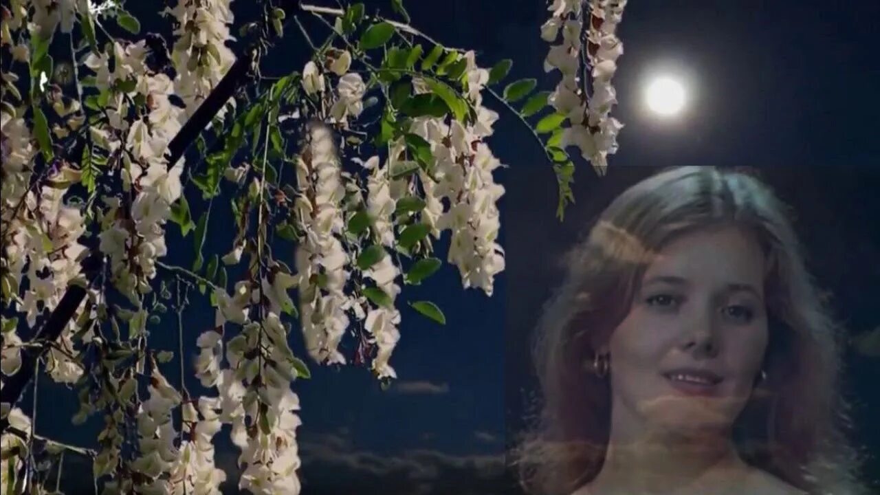Девушка в черемухе. Песня расцветут цветы весной песни. Девушка в черемухе. Цветущие сады весной. Девушка с черемухой цветущей.