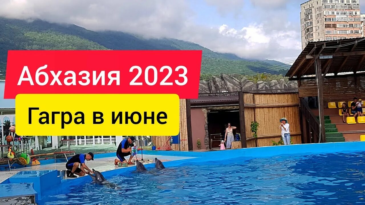 Дельфинарий Гагра Абхазия. Граница с Абхазией 2023. Море в Абхазии в июне 2023. Дельфинарий Гагра цены 2023. Дельфинарий гагра
