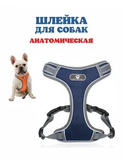 Анатомическая шлейка