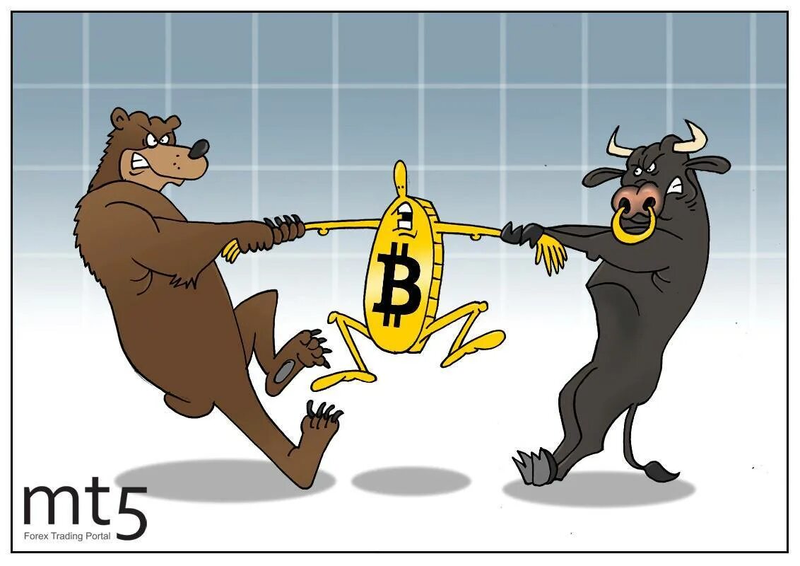 Трейдерский сленг. Трейдинг быки и медведи. Трейдинг обучение. Жаргон трейдера. Жаргон трейдера.