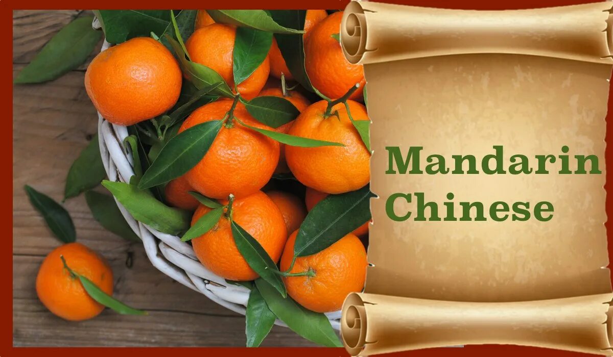 песня называется мандарин. сорт танжерин. горький танжерин. песня называется мандарин. стихи про мандарины и новый.