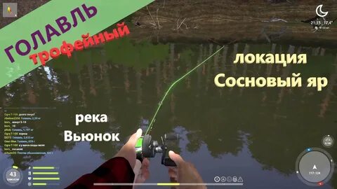 Рыбалка на реке вьюнка