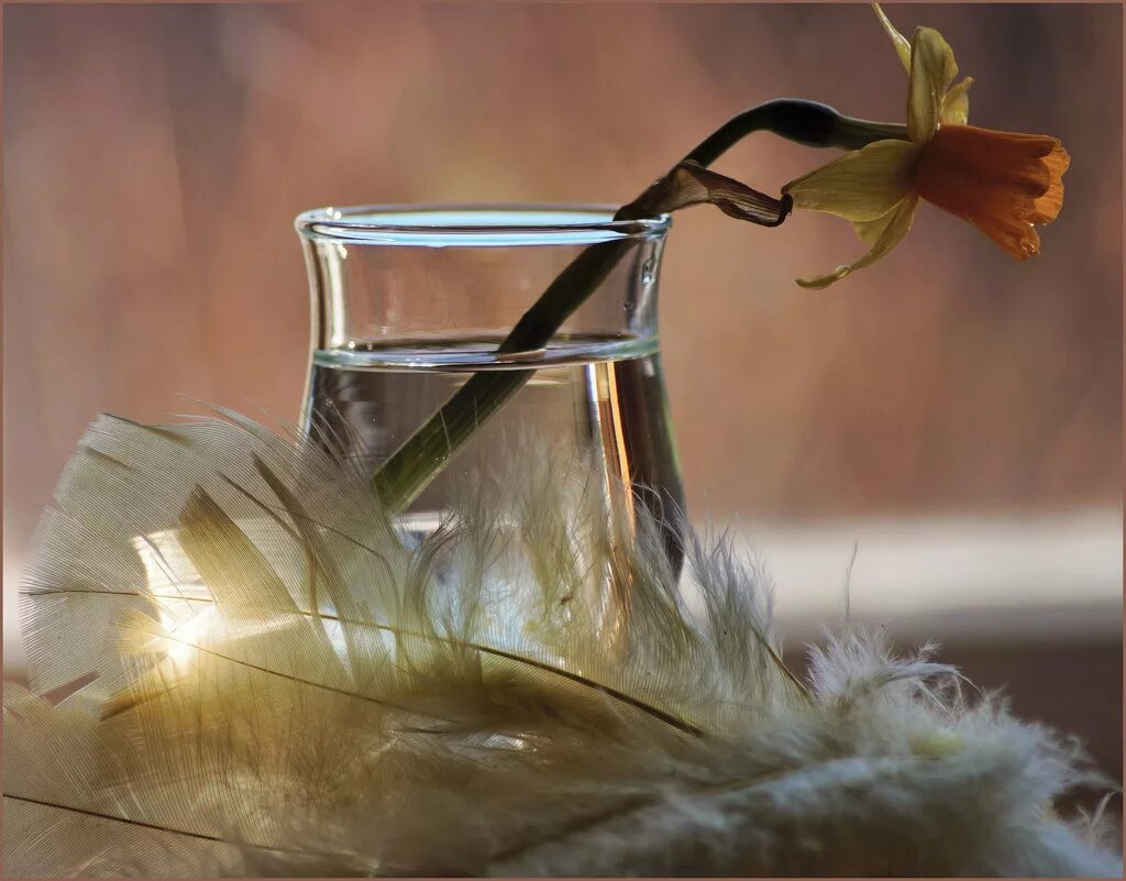 обливание водой традиция. чистота вода пасха. поливальный понедельник в польше. пасха вода. сербия народные праздники.