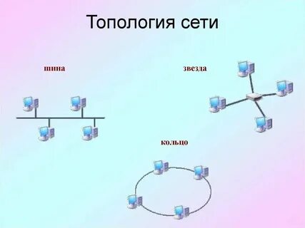 Не живущая сети
