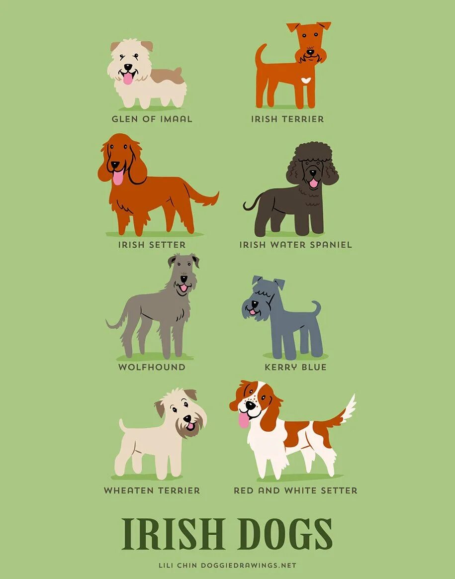 Породы собак и их названия на русском. Продысабка сназванями. Разные собаки с названием. Картинки какие есть собаки породы.