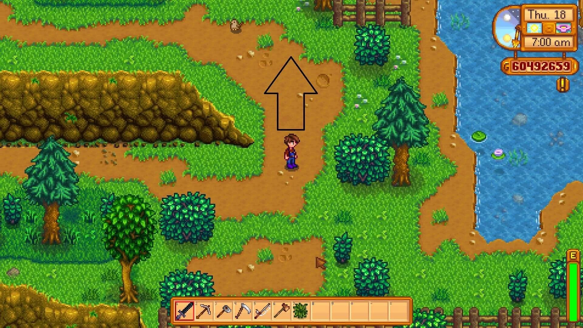 Где цветочные танцы stardew. Цветочные танцы Stardew Valley. Цветочный фестиваль Stardew Valley. Цветовые танцы Stardew Valley. Цветочная Поляна Stardew Valley.