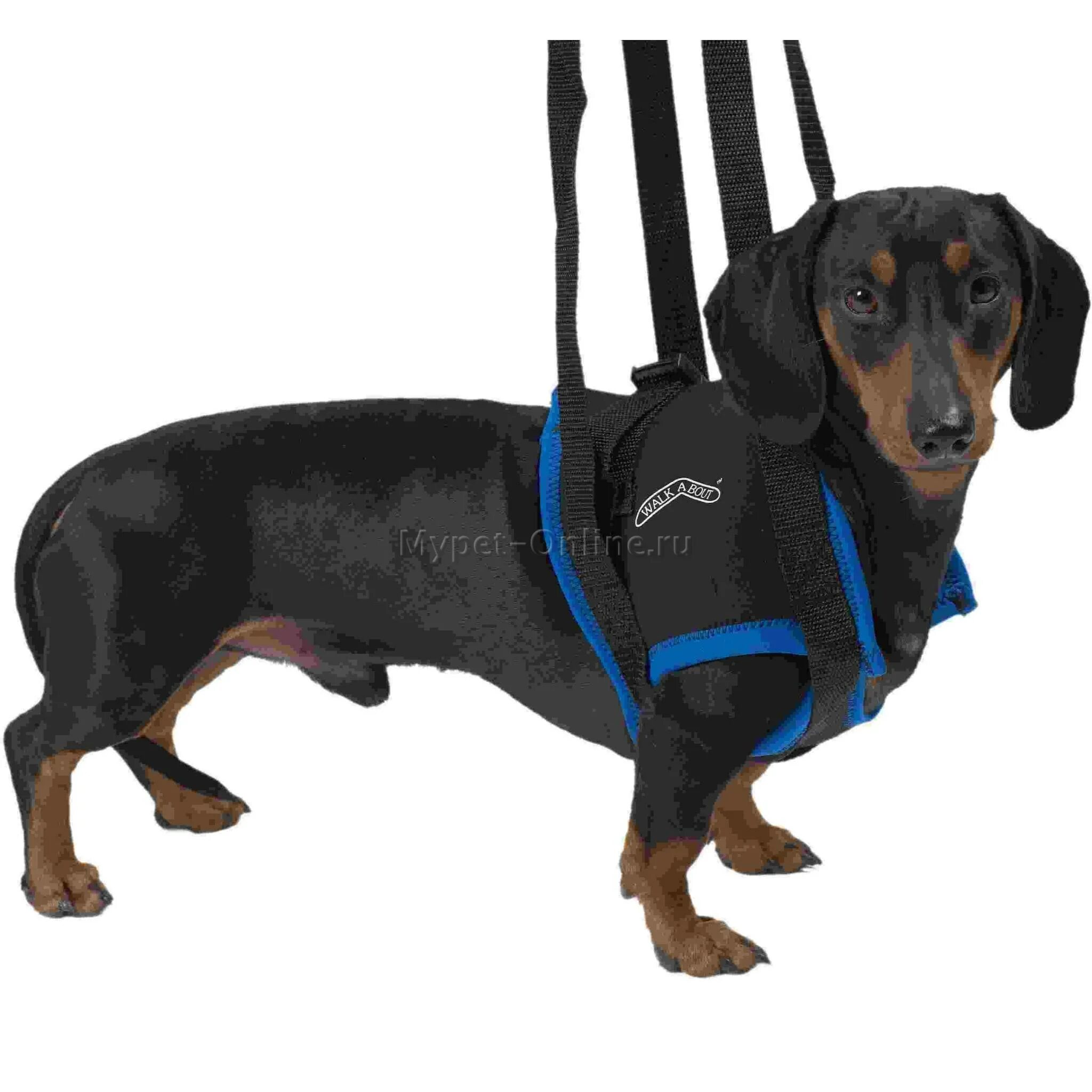 Вожжи для животных. Вожжи для собак kruuse walkabout harness. шлейка julius-k9 rehabilitation-harnesses-hind l черный. защитный воротник kruuse buster clic collar 25 см. защитный воротник kruuse buster clic collar 7,5 см.