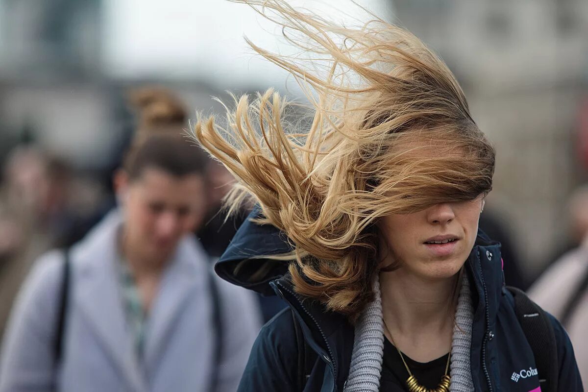 Сильный ветер. Усиление ветра. Порывы ветра. Сильный ветер весной. A very strong wind