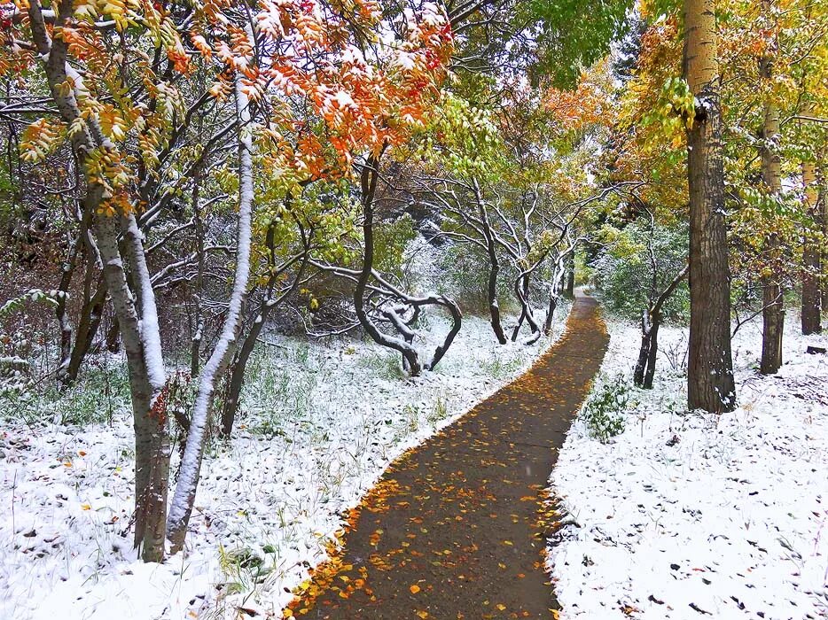 Первый снег картинки. Первый снег. Первый снег в городе. Город осень первый снег. Снег осенью в городе.