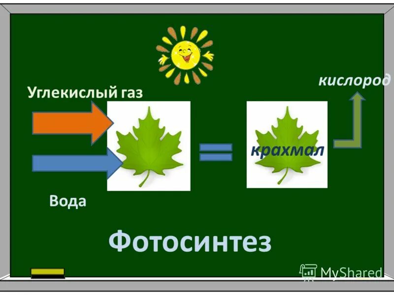 Газы в воде. Углекислый газ. Углекислый газ и вода являются основными продуктами. Со2 углекислый газ. Где применяется углекислый газ.