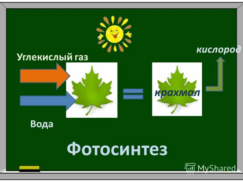 Глюкоза углекислый газ вода. Углекислый ГАЗ И вода. Кислород фотосинтез. Фотосинтез углекислый ГАЗ И вода. Углекислый ГАЗ плюс вода.