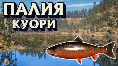 Куори приманки
