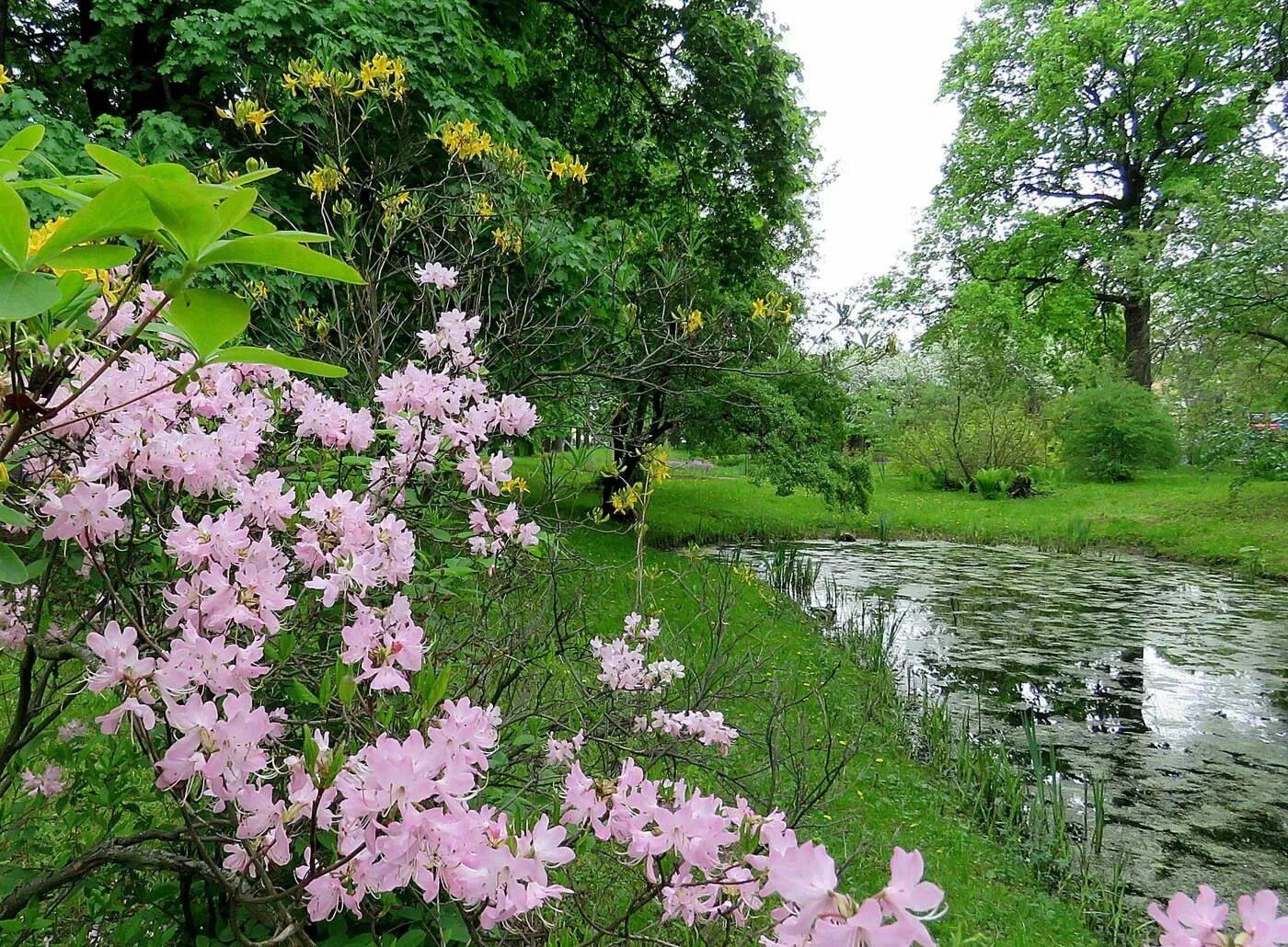 Май фото природы. Природа весной. Весенний пейзаж. Май природа.