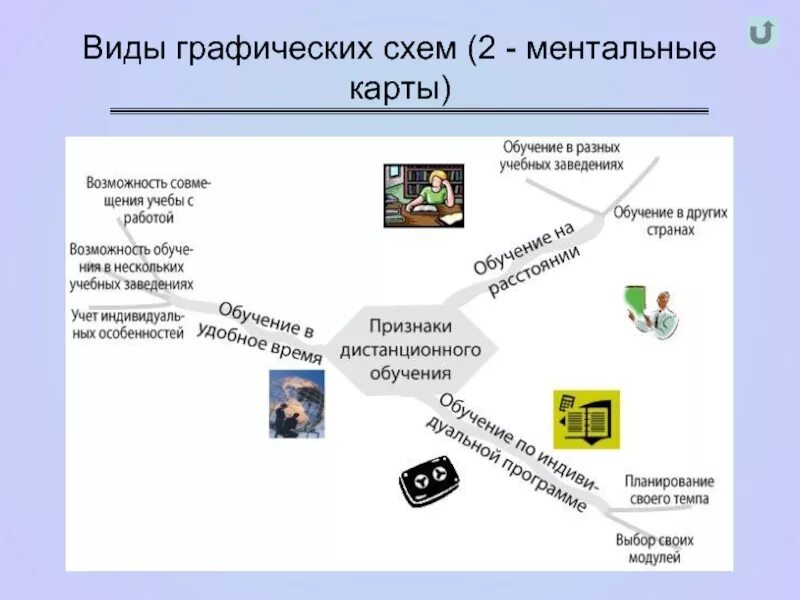 Ментальная карта обучения