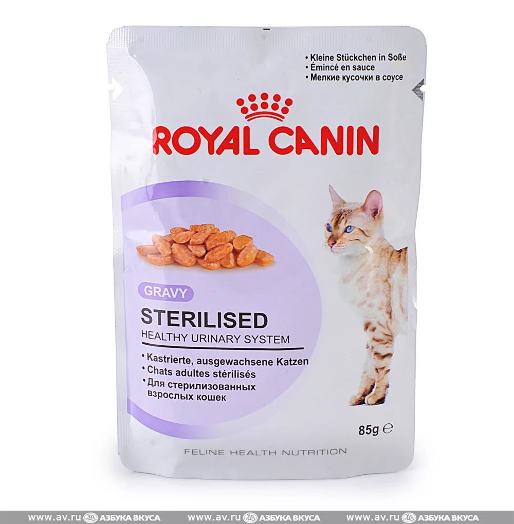 Royal canin instinctive для кошек желе. Роял канин киттен. Royal canin корм для взрослых кошек инстинктив соус 85 гр 1/28. Жидкий корм роял канин. Роял канин для кошек киттен.