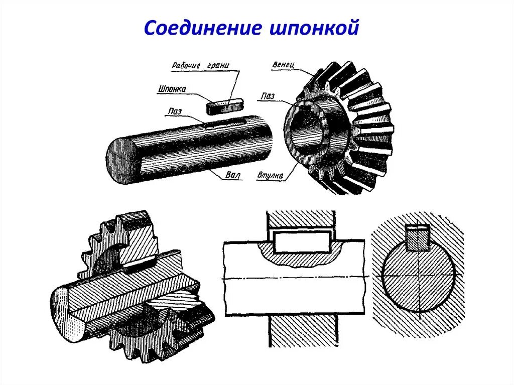 Шпоночное соединение вала. Шпонка шпоночное соединение. Шпоночное соединение на валу. Шпоночное соединение валов. Виды соединения шпонкой.